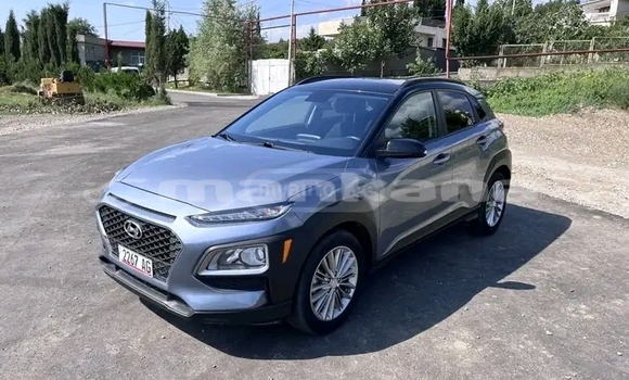 Buy Used Hyundai Kona Other Car in Bihvinta in Abhasia Buy Used Hyundai Kona Other Car in Bihvinta in Abhasia