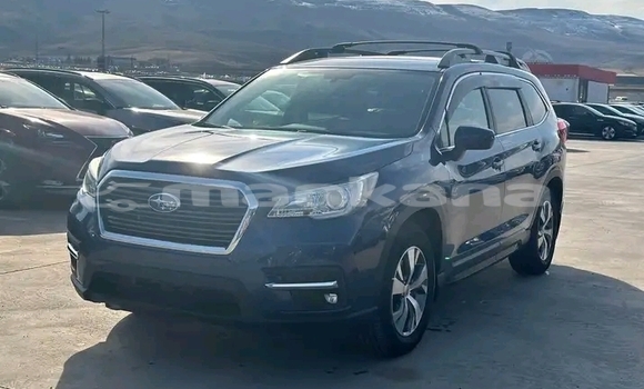 Buy Used Subaru Ascent Other Car in Bihvinta in Abhasia Buy Used Subaru Ascent Other Car in Bihvinta in Abhasia