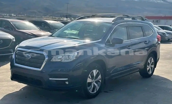 Buy Used Subaru Ascent Other Car in Bihvinta in Abhasia Buy Used Subaru Ascent Other Car in Bihvinta in Abhasia