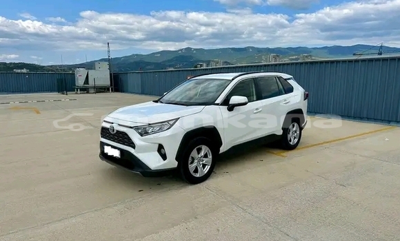 Buy Used Toyota RAV4 White Car in Bihvinta in Abhasia