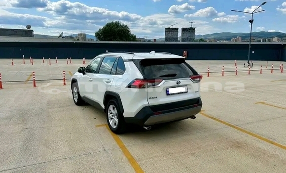 Buy Used Toyota RAV4 White Car in Bihvinta in Abhasia Buy Used Toyota RAV4 White Car in Bihvinta in Abhasia