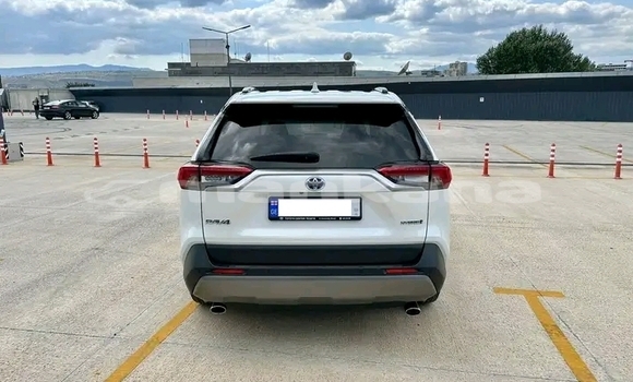 Buy Used Toyota RAV4 White Car in Bihvinta in Abhasia Buy Used Toyota RAV4 White Car in Bihvinta in Abhasia