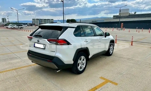 Buy Used Toyota RAV4 White Car in Bihvinta in Abhasia Buy Used Toyota RAV4 White Car in Bihvinta in Abhasia