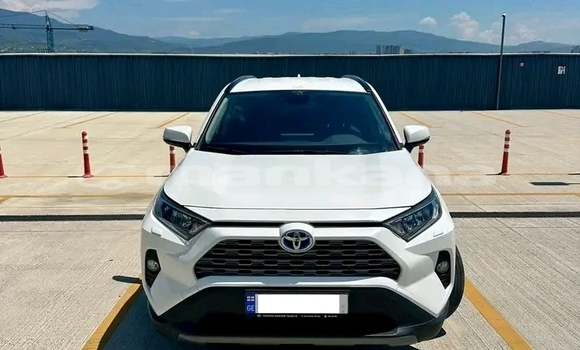 Buy Used Toyota RAV4 White Car in Bihvinta in Abhasia Buy Used Toyota RAV4 White Car in Bihvinta in Abhasia