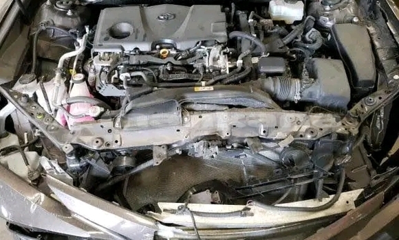 Buy Used Toyota Camry Other Car in Dedoplisckaro in Kaheti Buy Used Toyota Camry Other Car in Dedoplisckaro in Kaheti