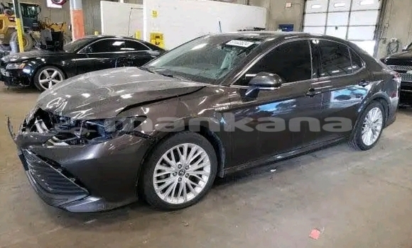 Buy Used Toyota Camry Other Car in Dedoplisckaro in Kaheti Buy Used Toyota Camry Other Car in Dedoplisckaro in Kaheti