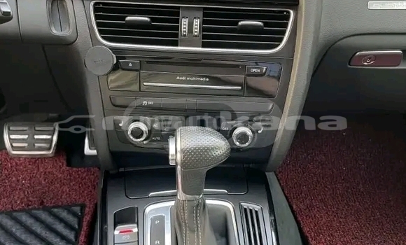 Buy Used Audi A5 White Car in Bihvinta in Abhasia Buy Used Audi A5 White Car in Bihvinta in Abhasia