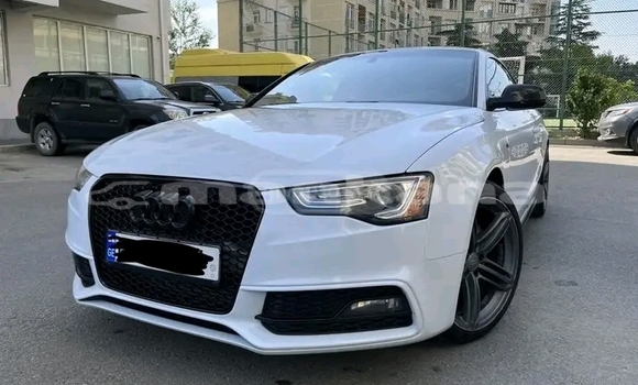 Buy Used Audi A5 White Car in Bihvinta in Abhasia Buy Used Audi A5 White Car in Bihvinta in Abhasia