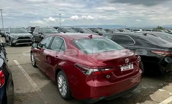 Buy Used Toyota Camry Red Car in Bihvinta in Abhasia Buy Used Toyota Camry Red Car in Bihvinta in Abhasia