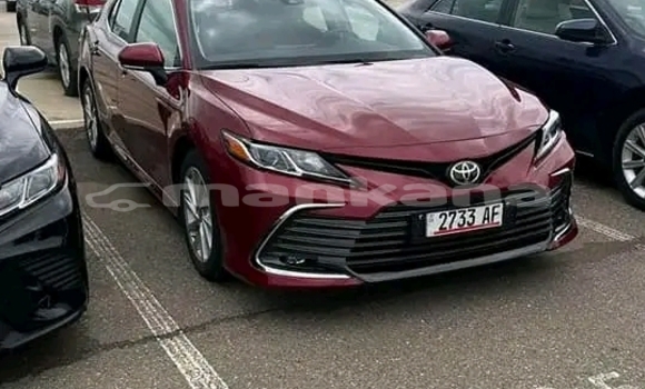 Buy Used Toyota Camry Red Car in Bihvinta in Abhasia Buy Used Toyota Camry Red Car in Bihvinta in Abhasia
