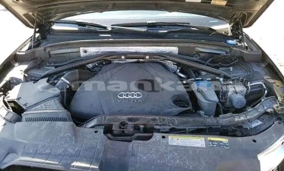 Buy Used Audi A3 Other Car in Bagdadi in Imereti