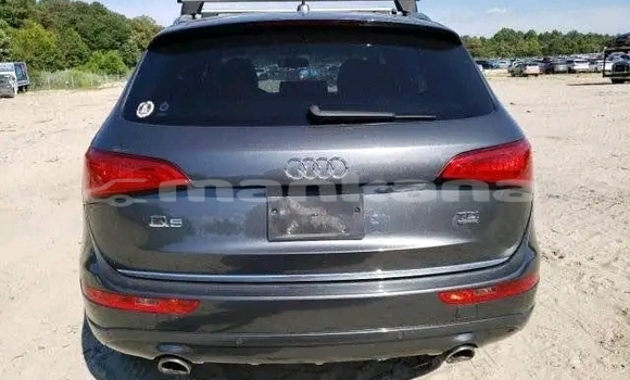 Buy Used Audi A3 Other Car in Bagdadi in Imereti Buy Used Audi A3 Other Car in Bagdadi in Imereti