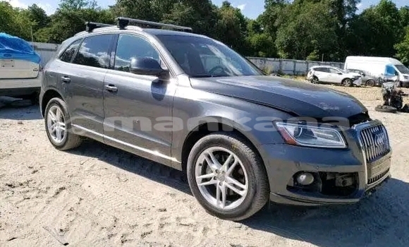 Buy Used Audi A3 Other Car in Bagdadi in Imereti Buy Used Audi A3 Other Car in Bagdadi in Imereti