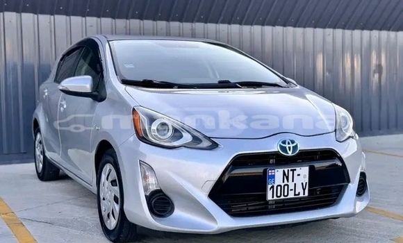 Buy Used Toyota Prius c White Car in Dusheti in Mcheta-Mtianeti Buy Used Toyota Prius c White Car in Dusheti in Mcheta-Mtianeti