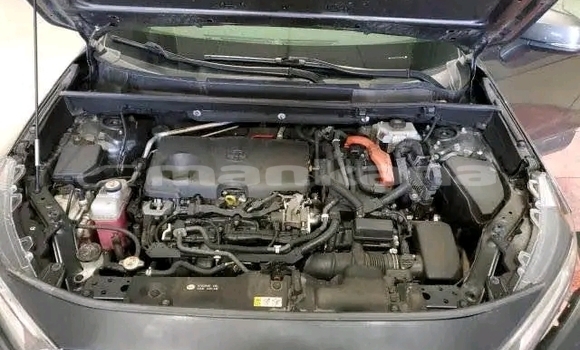 Buy Used Toyota RAV4 Other Car in Bihvinta in Abhasia Buy Used Toyota RAV4 Other Car in Bihvinta in Abhasia