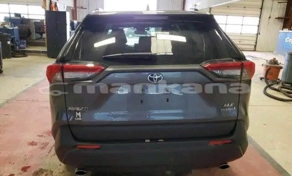 Buy Used Toyota RAV4 Other Car in Bihvinta in Abhasia Buy Used Toyota RAV4 Other Car in Bihvinta in Abhasia
