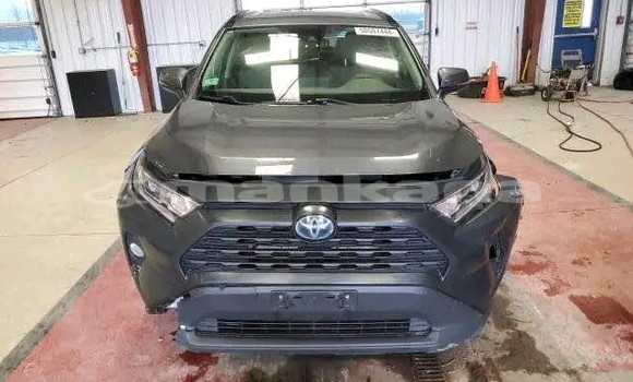 Buy Used Toyota RAV4 Other Car in Bihvinta in Abhasia Buy Used Toyota RAV4 Other Car in Bihvinta in Abhasia