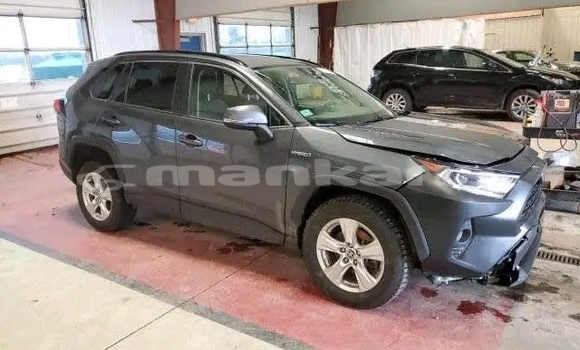 Buy Used Toyota RAV4 Other Car in Bihvinta in Abhasia Buy Used Toyota RAV4 Other Car in Bihvinta in Abhasia