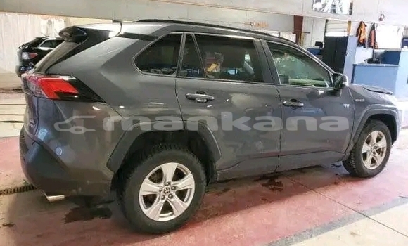 Buy Used Toyota RAV4 Other Car in Bihvinta in Abhasia Buy Used Toyota RAV4 Other Car in Bihvinta in Abhasia
