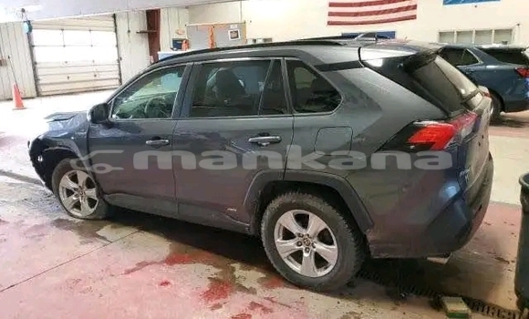 Buy Used Toyota RAV4 Other Car in Bihvinta in Abhasia Buy Used Toyota RAV4 Other Car in Bihvinta in Abhasia