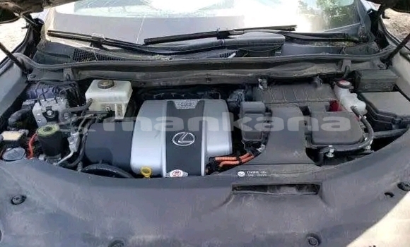 Buy Used Lexus RX 330 Other Car in Batumi in Ajaria Buy Used Lexus RX 330 Other Car in Batumi in Ajaria