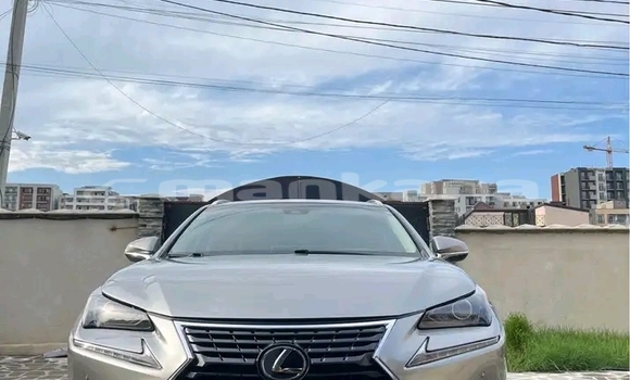 Buy Used Lexus RC Other Car in Cnori in Kaheti Buy Used Lexus RC Other Car in Cnori in Kaheti