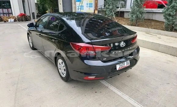 Buy Used Hyundai Elantra Black Car in Lanchhuti in Guria Buy Used Hyundai Elantra Black Car in Lanchhuti in Guria