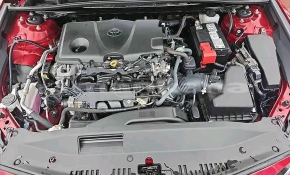 Buy Used Toyota Camry Red Car in Bihvinta in Abhasia Buy Used Toyota Camry Red Car in Bihvinta in Abhasia