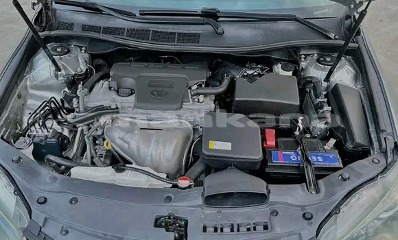 Buy Used BMW 315 Other Car in Gulripshi in Abhasia