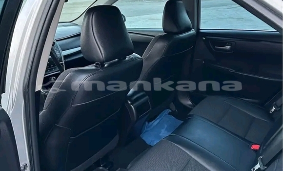 Buy Used BMW 315 Other Car in Gulripshi in Abhasia Buy Used BMW 315 Other Car in Gulripshi in Abhasia