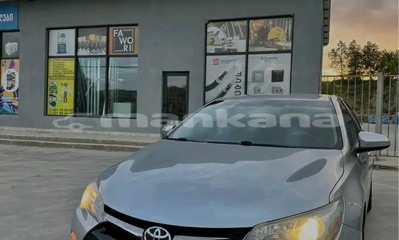 Buy Used BMW 315 Other Car in Gulripshi in Abhasia Buy Used BMW 315 Other Car in Gulripshi in Abhasia