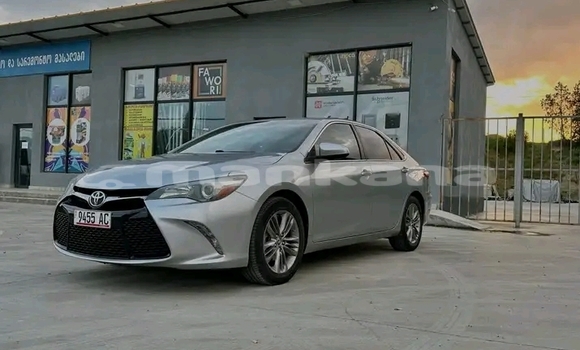 Buy Used BMW 315 Other Car in Gulripshi in Abhasia Buy Used BMW 315 Other Car in Gulripshi in Abhasia