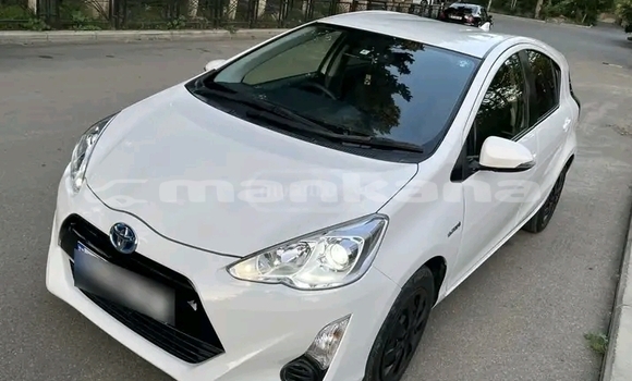 Buy Used Toyota Aqua White Car in Bihvinta in Abhasia Buy Used Toyota Aqua White Car in Bihvinta in Abhasia