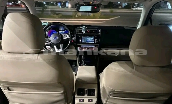 Buy Used Subaru Outback Other Car in Bihvinta in Abhasia