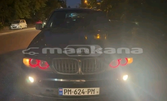Buy Used BMW X5 Other Car in Bihvinta in Abhasia Buy Used BMW X5 Other Car in Bihvinta in Abhasia