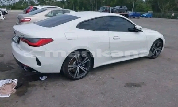 Buy Used BMW 502 White Car in Gudauta in Abhasia Buy Used BMW 502 White Car in Gudauta in Abhasia