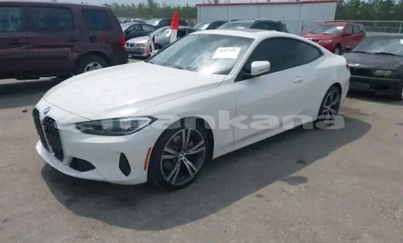 Buy Used BMW 502 White Car in Gudauta in Abhasia Buy Used BMW 502 White Car in Gudauta in Abhasia