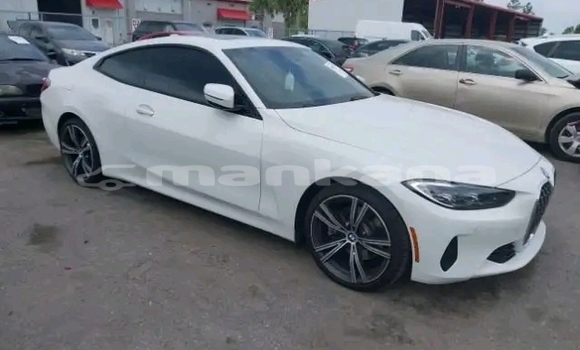 Buy Used BMW 502 White Car in Gudauta in Abhasia Buy Used BMW 502 White Car in Gudauta in Abhasia