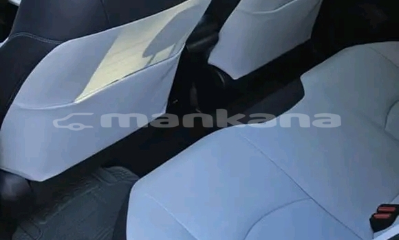 Buy Used Toyota Prius c White Car in Bihvinta in Abhasia Buy Used Toyota Prius c White Car in Bihvinta in Abhasia