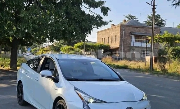 Buy Used Toyota Prius c White Car in Bihvinta in Abhasia Buy Used Toyota Prius c White Car in Bihvinta in Abhasia