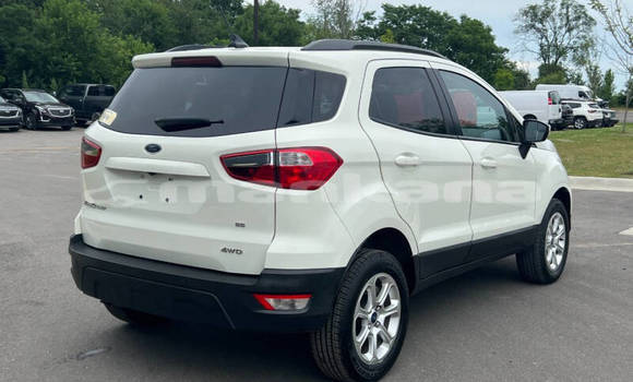 Buy Used Ford EcoSport White Car in Tbilisi in Tbilisi Buy Used Ford EcoSport White Car in Tbilisi in Tbilisi