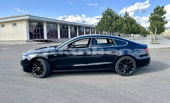 Buy Used Audi A5 Black Car in Gagra in Abhasia Buy Used Audi A5 Black Car in Gagra in Abhasia