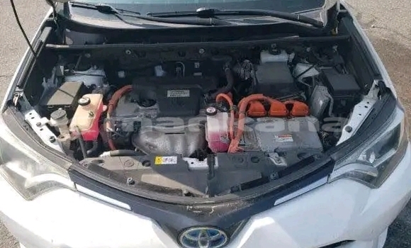 Buy Used Toyota RAV4 White Car in Honi in Imereti Buy Used Toyota RAV4 White Car in Honi in Imereti