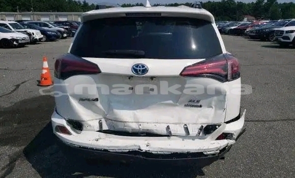 Buy Used Toyota RAV4 White Car in Honi in Imereti Buy Used Toyota RAV4 White Car in Honi in Imereti