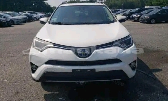 Buy Used Toyota RAV4 White Car in Honi in Imereti Buy Used Toyota RAV4 White Car in Honi in Imereti