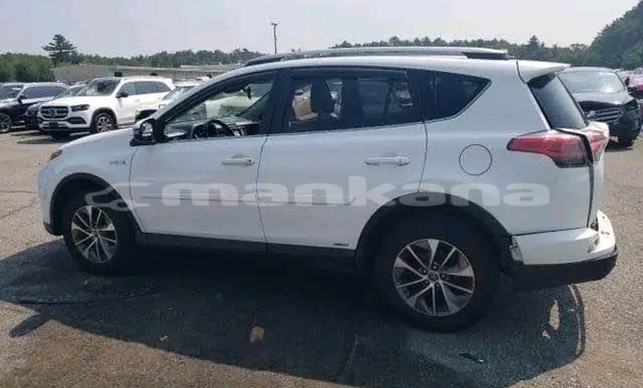Buy Used Toyota RAV4 White Car in Honi in Imereti Buy Used Toyota RAV4 White Car in Honi in Imereti
