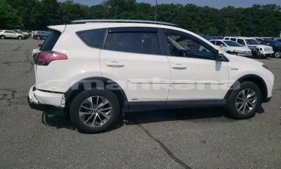 Buy Used Toyota RAV4 White Car in Honi in Imereti Buy Used Toyota RAV4 White Car in Honi in Imereti