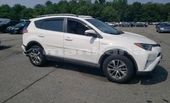 Buy Used Toyota RAV4 White Car in Honi in Imereti Buy Used Toyota RAV4 White Car in Honi in Imereti