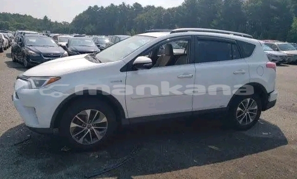 Buy Used Toyota RAV4 White Car in Honi in Imereti Buy Used Toyota RAV4 White Car in Honi in Imereti