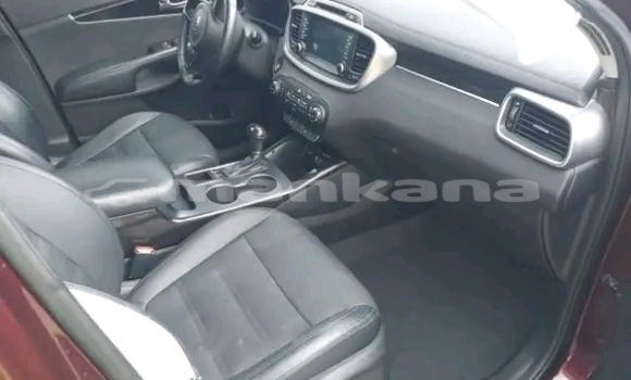 Buy Used Kia Sorento Red Car in Batumi in Ajaria Buy Used Kia Sorento Red Car in Batumi in Ajaria